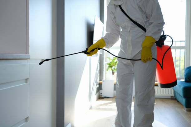 Best Crawl Space Mold Remediation in Moweaqua, IL