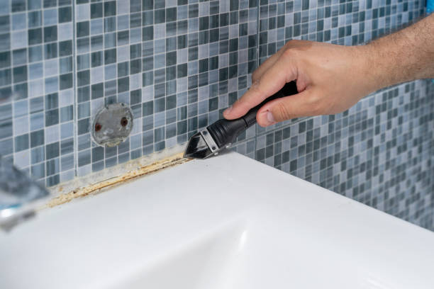 Best Health and Safety Mold Remediation in Moweaqua, IL